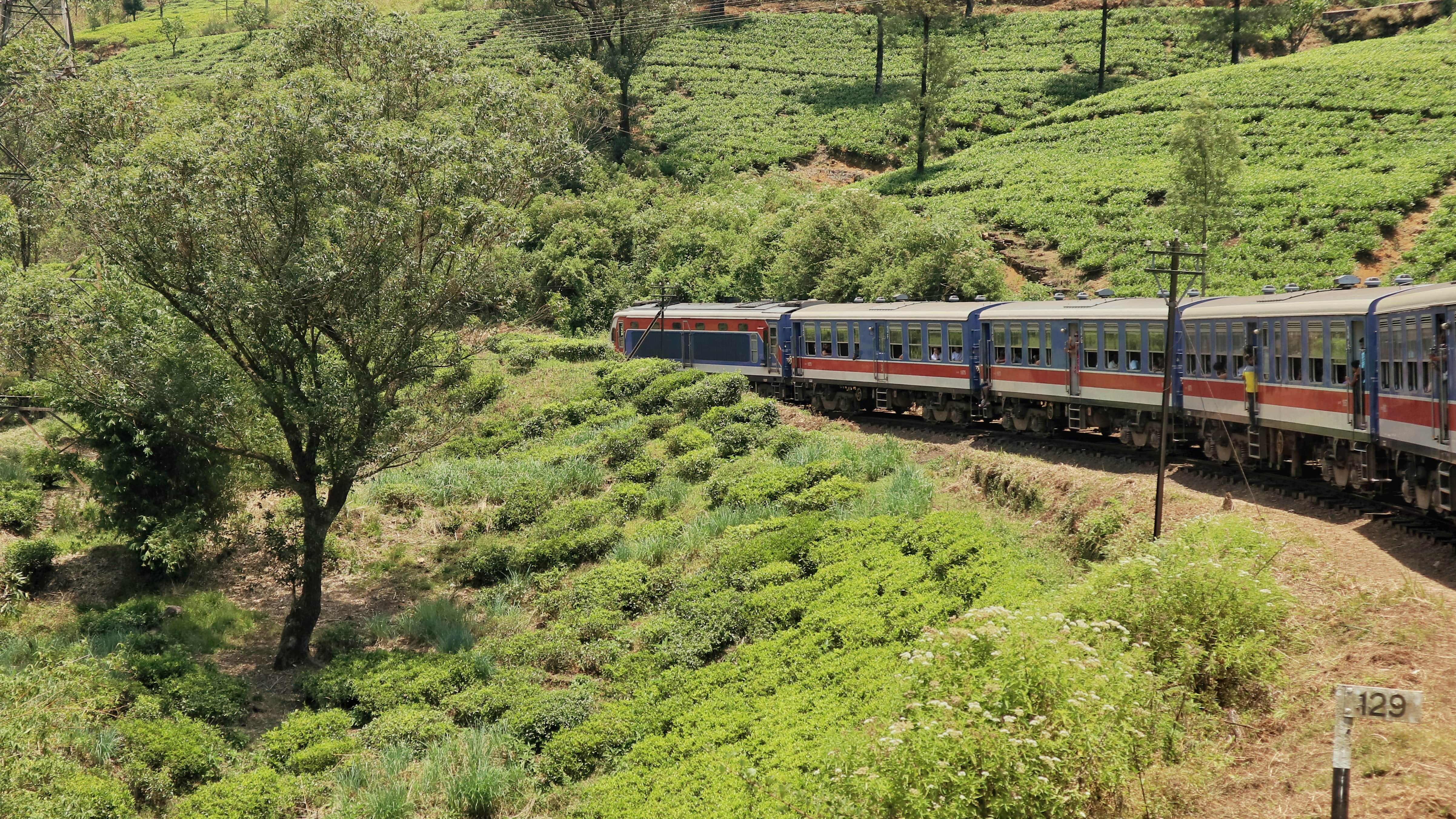 Kandy in Sri Lanka: un viaggio in treno da non perdere
